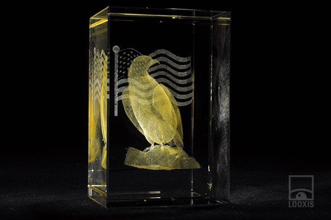 Farbige 3D Laser Gravur mit einem Adler in gelb